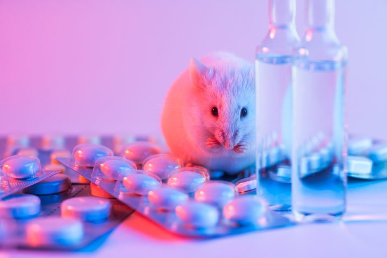Why Is Animal Testing Still A Thing? – SFSA Why Is Animal Testing Still A Thing? – SFSA